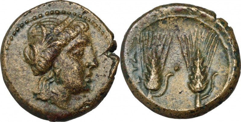 Greek Italy. Southern Lucania, Metapontum. AE 17 mm, late 3rd century BC. D/ Hea...