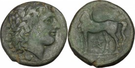 Greek Italy. Bruttium, Nuceria. AE 21 mm, 225-200 BC. D/ Head of Apollo right, laureate; below, crab. R/ Horse standing left; below, pentagram. HN Ita...