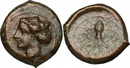 Sicily. Syracuse. Second Democracy (466-405 BC). AE Tetras, after 425 BC. D/ Head of nymph left. R/ Octopus. CNS II, 14. AE. g. 2.97 mm. 15.00 Lovely ...