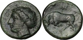 Sicily. Syracuse. Agathokles (317-289 BC). AE 15 mm. D/ Head of Kore left. R/ Bull butting left. CNS II, 107. AE. g. 3.37 mm. 15.50 Pleasant dark gree...