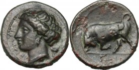 Sicily. Syracuse. Agathokles (317-289 BC). AE 17 mm. D/ Head of Kore left, wearing wreath; behind, racing torch. R/ Bull butting left. CNS II, 107. AE...