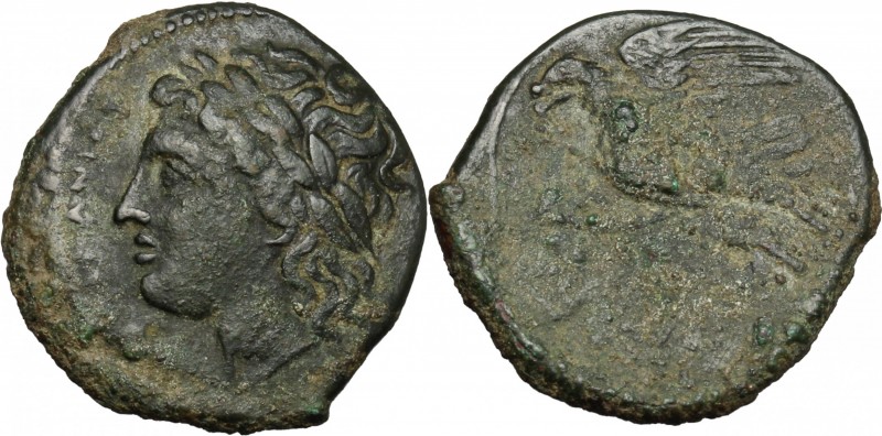 Sicily. Syracuse. Hiketas (287-278 BC). AE 23 mm. D/ Head of Zeus Hellanios left...