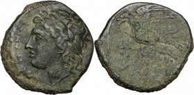 Sicily. Syracuse. Hiketas (287-278 BC). AE 23 mm. D/ Head of Zeus Hellanios left, laureate. R/ Eagle standing left on thunderbolt. CNS II, 154. AE. g....