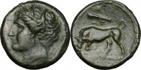 Sicily. Syracuse. Hieron II (274-216 BC). AE 15 mm. D/ Head of Kore left. R/ Bull butting left: above, club. CNS II, 199. AE. g. 3.06 mm. 15.50 VF.