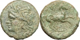 Sicily. Syracuse. Hieron II (274-216 BC). AE 17 mm. D/ Head of Apollo left, laureate. R/ Horse right. CNS II, 203; SNG Cop. 858. AE. g. 4.85 mm. 17.00...