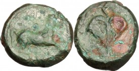 Sicily. Uncertain mint. Mercenaries. AE 12mm. 344-336 BC. D/ Horse galloping right. R/ Ivy leaf. CNS III, 1; HGC 2, –; CNG 60, lot 225. AE. g. 1.92 mm...