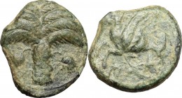 Sicily. Punic Sicily. AE, 325-275 BC. D/ Palm tree. R/ Pegasus flying left. SNG Cop. 107-108 (Carthage). AE. g. 2.47 mm. 14.00 Green patina. VF.