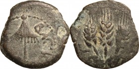 Greek Asia. Judaea. Agrippa I (37-44). AE Prutah, year 6 (41/42). Jerusalem mint. D/ Umbrella-like canopy with fringes. R/ 'Year 6'. Three ears of bar...