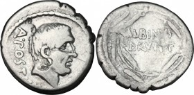Albinus Bruti f. AR Denarius, 48 BC. D/ Bare head of the consul Aulus Postumius Albinus right. R/ ALBINV/BRVTI F within wreath of corn-ears. Cr. 450/3...