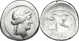 C. Vibius Varus. AR Denarius, 42 BC. D/ Head of Liber right, wearing ivy-wreath. R/ VARVS. Panther left springing up toward garlanded altar on which r...