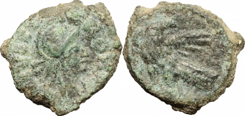 Ostrogothic Italy, Theoderic (493-526). AE 40 Nummi, Rome mint, 493-526. D/ Bust...