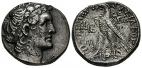 REYES DE EGIPTO, Cleopatra VII. Tetradracma (Ar. 13,90g/26mm). 41-40 a.C. Alejandría. (SNG Copenhagen 406; Svoronos 1826). Busto de Ptolomeo I. MBC+. ...