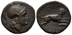 TRACIA, Lysimacheia. Ae20. (Ae. 4,90g/20mm). 305-281 a.C. (SNG Copenhagen 1149-58 var; HGC 3.2, 1758). Variante de monograma. MBC.