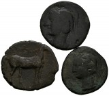 Lote de 3 monedas de Cartago Nova. Fechas entre 237-209 a.C. Dos piezas de 1 Calco (AB 525 y 528) y una de 1/2 Calco (AB -532). Diferentes estados de ...