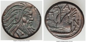 CIMMERIAN BOSPORUS. Panticapaeum. 4th century BC. AE (21mm, 7.18 gm, 12h). XF. Head of bearded Pan right / Π-A-N, forepart of griffin left, sturgeon l...