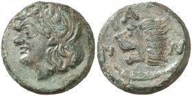 (310-303 a.C.). Bósforo Cimerio Pantikapaion. AE 20. (S. 1701) (CNG. VII, 114). 6,87 g. Pátina verde. MBC+.