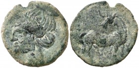 (s. III-II a.C.). Zeugitana. Cartago. AE 21. (S. 6512 var). 4,48 g. Muesca en canto. Pátina verde. MBC/MBC-.