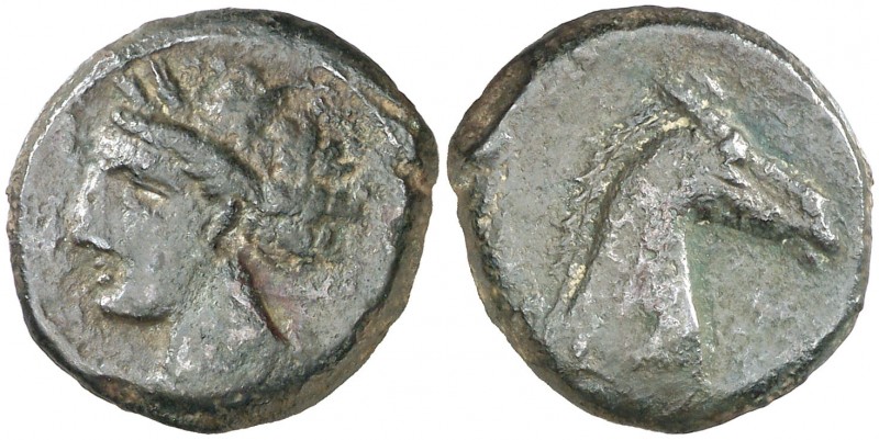 (300-260 a.C.). Incierta Sículo-Púnica. AE 20. (S. 6525 var, como de Cartago) (C...