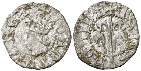 Joan II (1458-1479). Perpinyà. Diner. (Cru.V.S. 952) (Cru.C.G. 2991). 0,89 g. Vellón rico. MBC/MBC+.