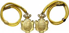 (1950-1975). Medalla de distinción. 32,48 g. 47x72 mm. Latón dorado. Corona articulada, cordón y pasador. EBC+.