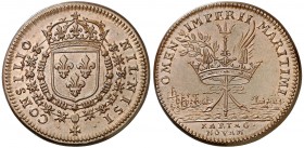 (1704). Francia. Luis XIV. Victoria Naval francesa en Cartagena de Indias. Jetón. (MHE. 586, mismo ejemplar). 9,35 g. Ø26 mm. Cobre. Bella. Rara. EBC+...