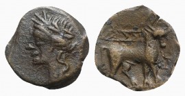 Gaul, Massalia, c. 2nd-1st century BC. Æ (13mm, 1.95g, 6h). Laureate head of Apollo l. R/ Bull standing r. Depeyrot, Marseille 67/1. Good VF