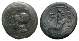 Northern Campania, Cales, c. 265-240 BC. Æ (20mm, 6.44g, 6h). Helmeted head of Athena l. R/ Cock standing r.; star to l. Sambon 916; HNItaly 435; SNG ...
