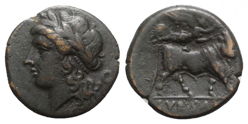 Northern Campania, Campania, Suessa Aurunca, c. 265-240 BC. Æ (19mm, 4.68g, 6h)....
