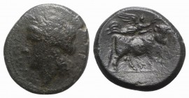Northern Campania, Campania, Suessa Aurunca, c. 265-240 BC. Æ (22mm, 5.77g, 7h). Laureate head of Apollo l. R/ Man-headed bull standing r.; above, Nik...