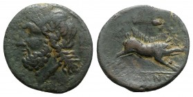 Northern Apulia, Arpi, 3rd century BC. Æ (22mm, 6.54g, 5h). Laureate head of Zeus l.; thunderbolt. R/ Boar r.; spear above. HNItaly 642; SNG ANS 635-8...