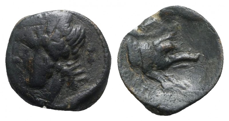 Northern Apulia, Arpi, c. 325-275 BC. Æ (14mm, 3.66g, 6h). Laureate head of Zeus...