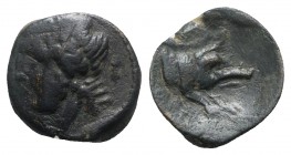 Northern Apulia, Arpi, c. 325-275 BC. Æ (14mm, 3.66g, 6h). Laureate head of Zeus l.; thunderbolt behind. R/ Forepart of boar r., spear above. HNItaly ...