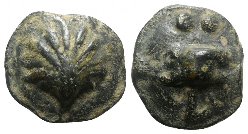 Northern Apulia, Luceria, c. 217-212 BC. Cast Æ Biunx (24mm, 15.67g). Scallop sh...