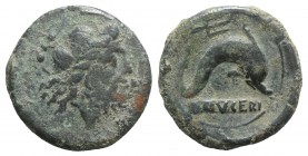 Northern Apulia, Luceria, c. 211-200 BC. Æ Teruncius (22mm, 8.63g, 9h). Laureate head of Neptune r. R/ Dolphin r.; above, trident head r. HNItaly 680;...