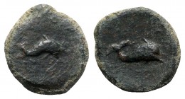 Northern Apulia, Salapia, c. 275-250 BC. Æ (15mm, 4.08g, 2h). Dolphin swimming r. R/ Dolphin swimming r. HNItaly 689; SNG ANS -. Scarce, green patina,...