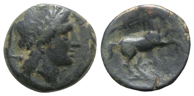 Northern Apulia, Salapia, c. 225-210 BC. Æ (20.5mm, 8.35g, 7h). Poullos, magistr...