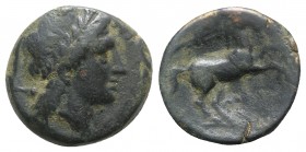 Northern Apulia, Salapia, c. 225-210 BC. Æ (20.5mm, 8.35g, 7h). Poullos, magistrate. Laureate head of Apollo r. R/ Horse prancing r.; trident above. H...