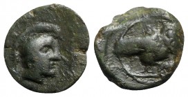 Northern Lucania, Velia(?), c. 2nd-1st century BC. Æ (11mm, 1.53g, 9h). Helmeted head of Athena r. R/ Owl standing r., wings closed. Cf. HNItaly 1338....