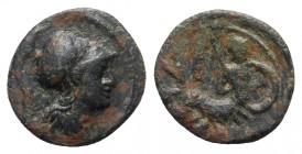 Southern Lucania, Herakleia, 3rd-1st centuries BC. Æ (13mm, 2.06g, 8h). Helmeted head of Athena r. R/ Marine deity r., holding shield and spear. Van K...