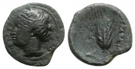 Southern Lucania, Herakleia, c. 281-272 BC. Æ (19mm, 6.32g, 3h). Head of Demeter l. R/ Grain-ear. Van Keuren 153; HNItaly 1442; SNG ANS 99. Good Fine