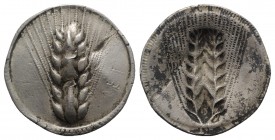 Southern Lucania, Metapontion, c. 540-510 BC. AR Stater (29mm, 6.62g, 12h). Barley ear. R/ Incuse barley ear. Noe 112; HNItaly 1479. Nick on obv., VF
