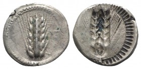 Southern Lucania, Metapontion, c. 540-510 BC. AR Stater (20.5mm, 6.62g, 12h). Barley ear. R/ Incuse barley ear. Cf. Noe 175; HNItaly 1482. VF