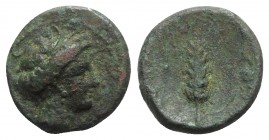 Southern Lucania, Metapontion, c. 425-350 BC. Æ (17mm, 4.05g, 11h). Wreathed head of Demeter r. R/ Grain ear; poppy head(?) to r. Cf. HNItaly 1640. Gr...