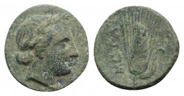 Southern Lucania, Metapontion, c. 425-350 BC. Æ (14mm, 2.45g, 6h). Laureate head of Apollo r. R/ Grain ear with bud to r. Johnston Bronze 22; HNItaly ...