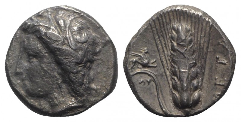 Southern Lucania, Metapontion, c. 330-290 BC. AR Stater (19mm, 7.45g, 8h). Wreat...