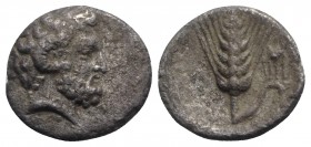 Southern Lucania, Metapontion, c. 325-275 BC. AR Diobol (11mm, 1.02g, 12h). Laureate head of Zeus Ammon r. R/ Ear of barley, leaf to r.; tripod on lea...