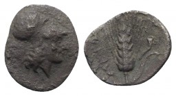 Southern Lucania, Metapontion, c. 325-275 BC. AR Diobol (12mm, 0.91g, 5h). Helmeted head of Athena r. R/ Grain ear with leaf to r.; cornucopia above l...