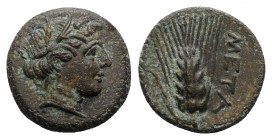 Southern Lucania, Metapontion, c. 300-250 BC. Æ (14mm, 2.83g, 3h). Wreathed head of Demeter r., wearing earring and necklace. R/ Grain ear with leaf t...