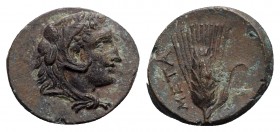 Southern Lucania, Metapontion, c. 300-250 BC. Æ (14.5mm, 2.91g, 12h). Head of Herakles r., wearing lion's skin headdress. R/ Ear of barley. Johnston B...
