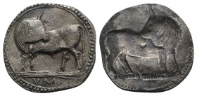 Southern Lucania, Sybaris, c. 550-510 BC. AR Stater (27mm, 6.87g, 12h). Bull standing l. on dotted exergual line, looking back. R/ Incuse bull standin...